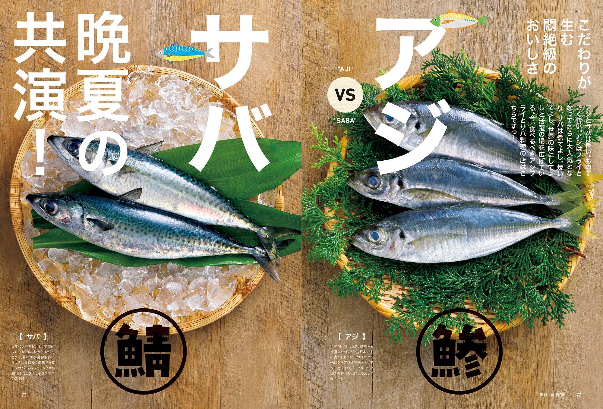 おとなの週末 2023年11月号「アジvsサバ 晩夏の共演！」
