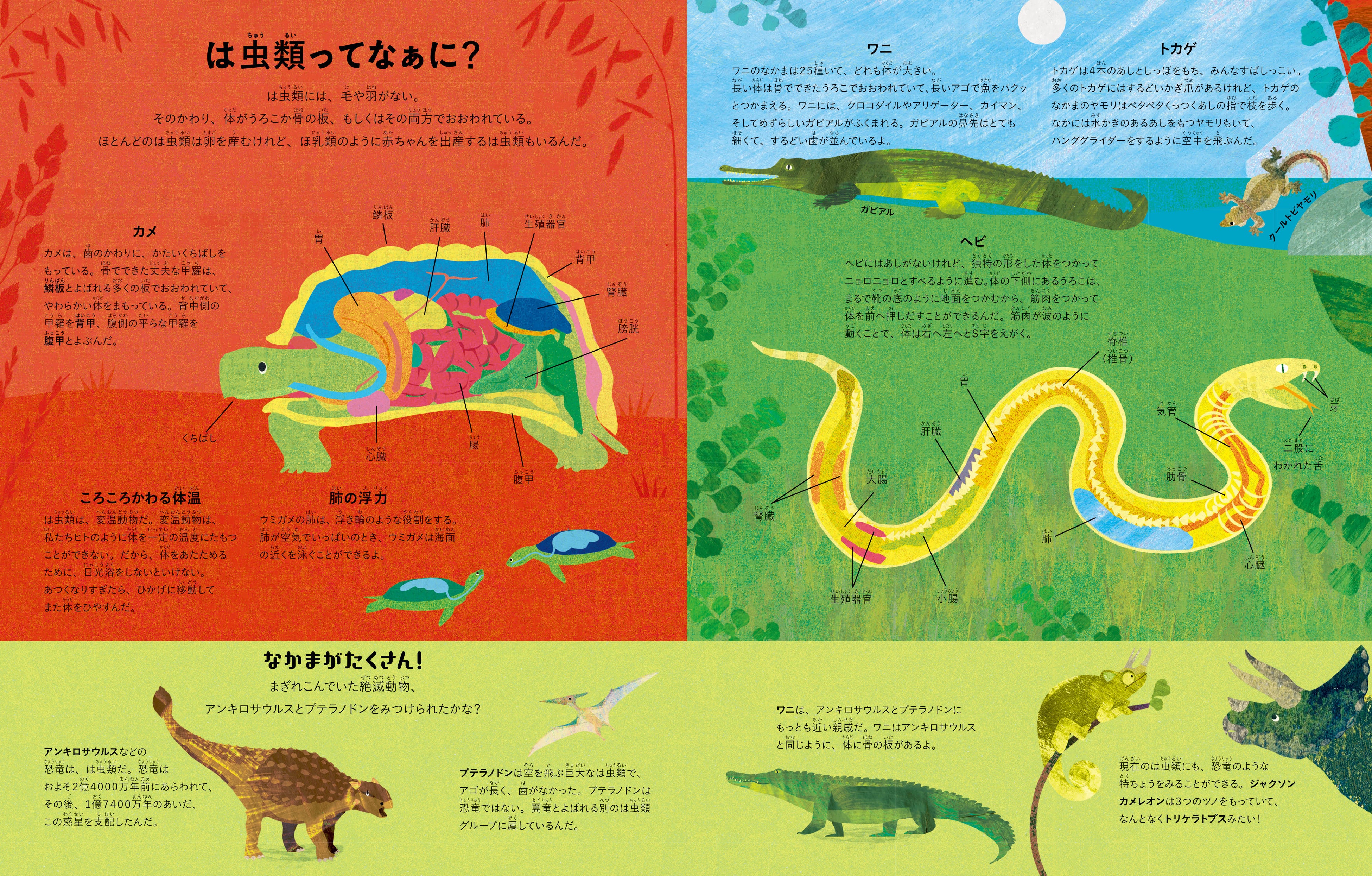 『いろんなところに いろんな かめ わに とかげ』より