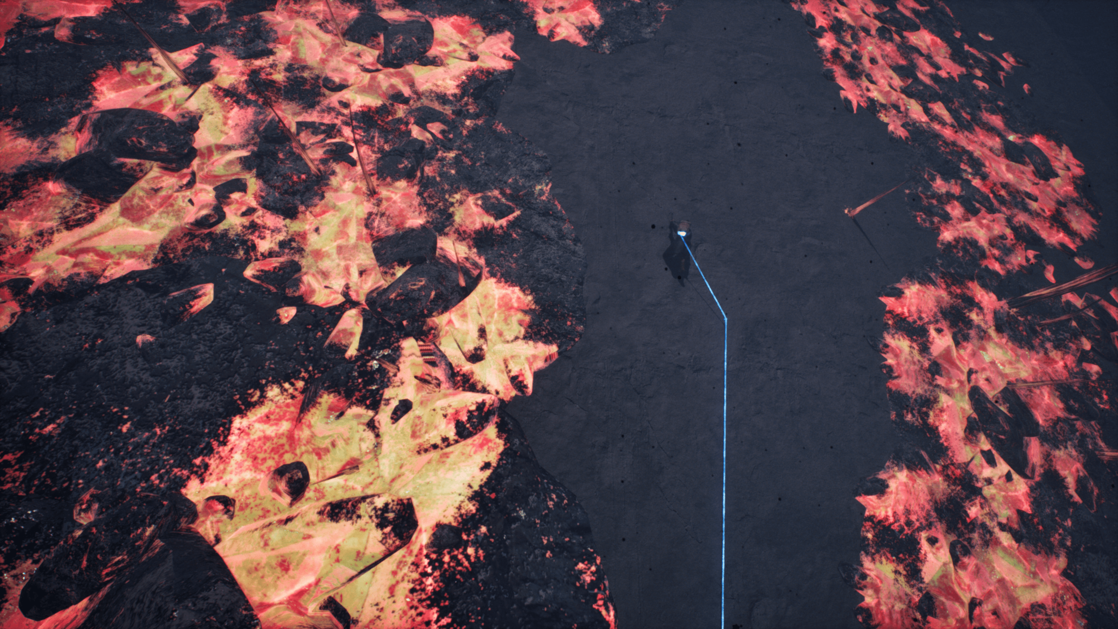 ※画像は開発中のものです