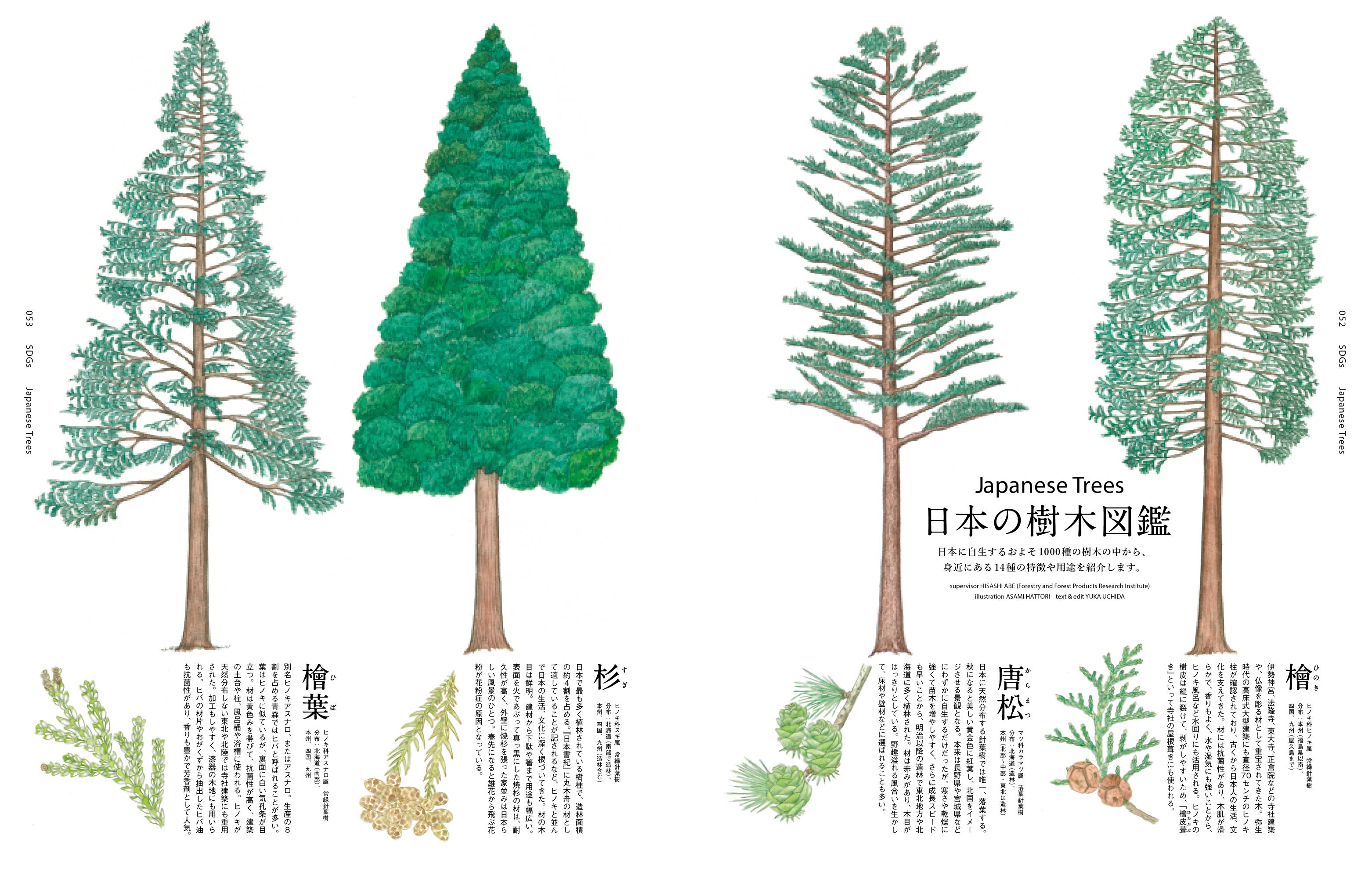 日本の樹木図鑑