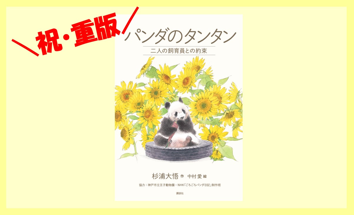 tantan様専用‼︎ たんたん様専用 tantan様専用 たんたん様専用 tantan様専用‼︎ たんたん様専用 tantan様専用 たんたん様専用