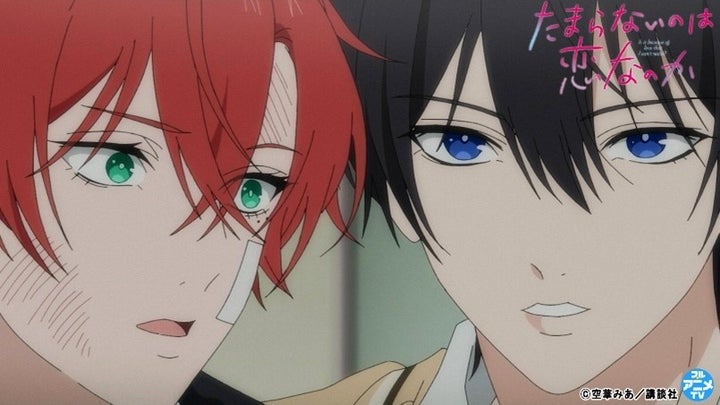 スペシャルTVアニメ『たまらないのは恋なのか』を本日配信スタート【6月12日まで】 | 株式会社講談社のプレスリリース