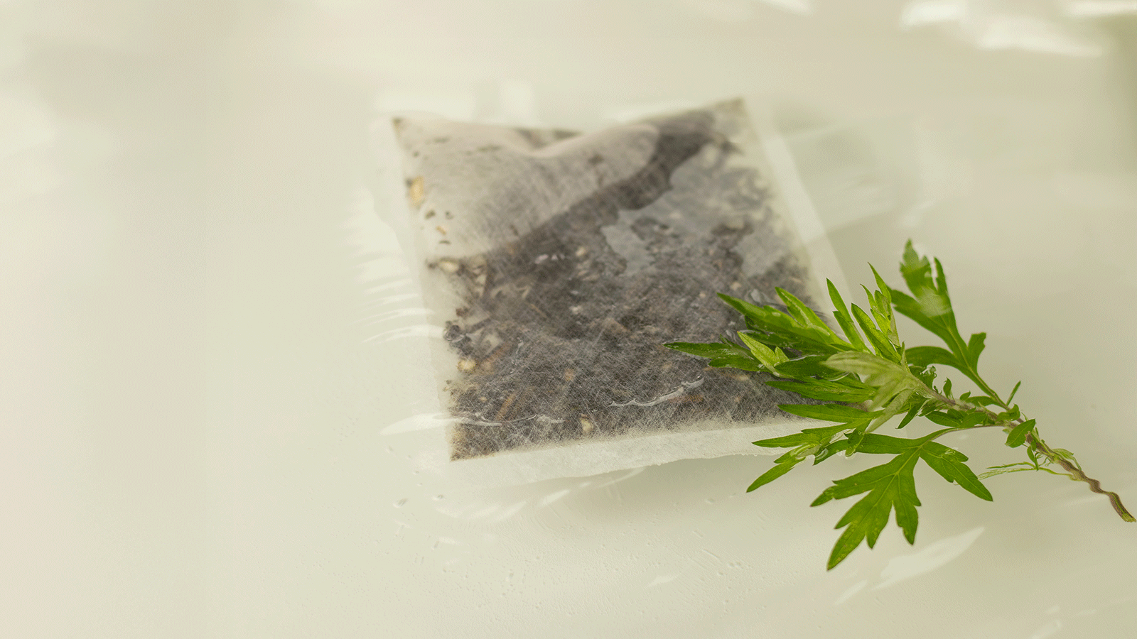 岐阜・郡上の山あいで育てた自然栽培よもぎを、贅沢バスタイムに。自然