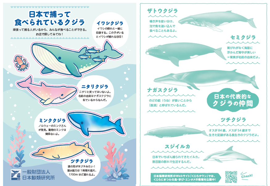 鯨類研究の最前線を体感！秋のイベント開催のお知らせ