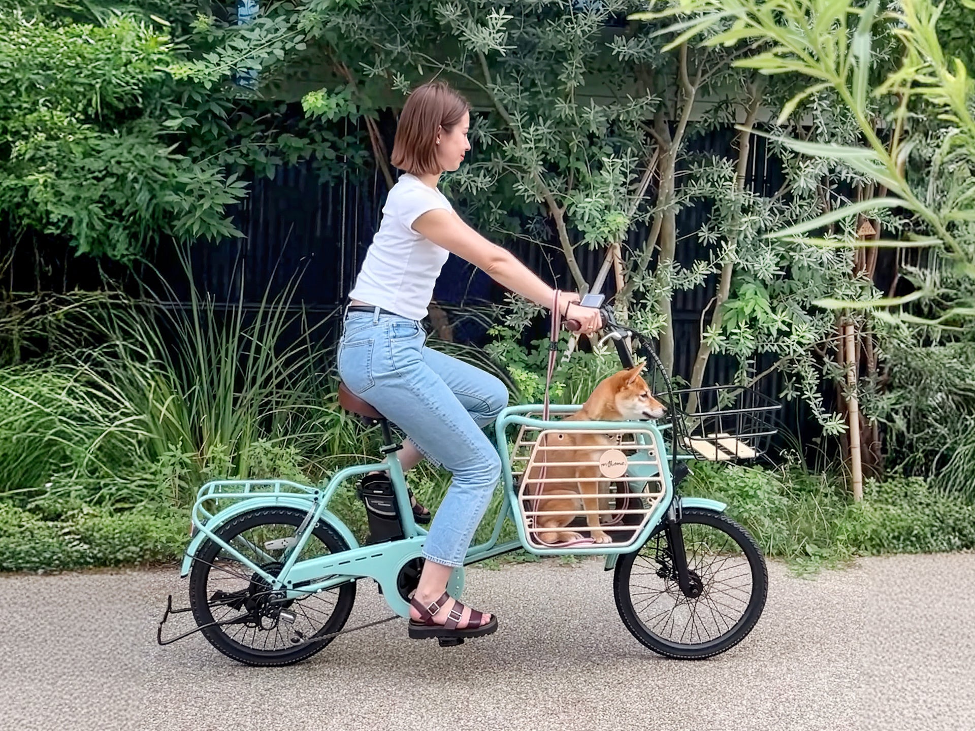 愛犬との移動がもっと楽しく、快適に!キャビンタイプでペットと乗れる