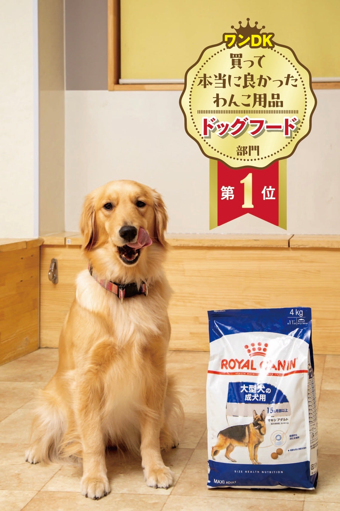 ワンDKデラックス】愛犬との暮らしを豊かにするグッズが大集合