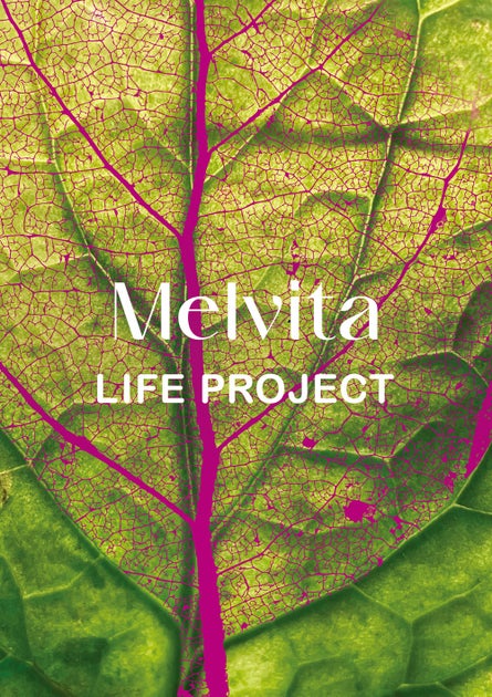 メルヴィータのサステナブルアート展示プロジェクト始動!山本真也氏作品も展示予定 メルヴィータのサステナブルアート展示プロジェクト始動!山本真也氏作品も展示予定