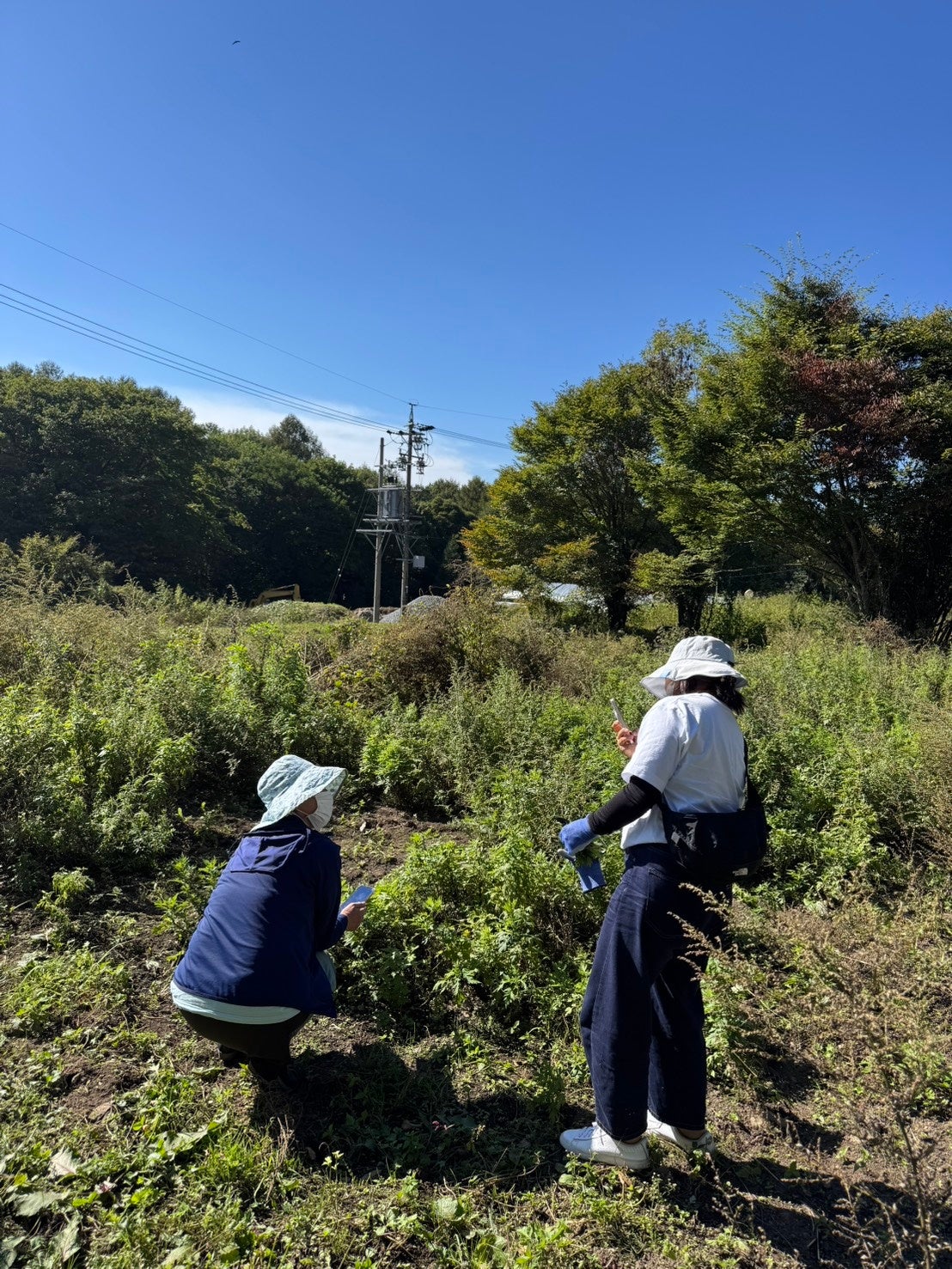 ㈱成和化成 第36回国際化粧品技術者会連盟（IFSCC）学術大会において研究成果をポスターにて報告