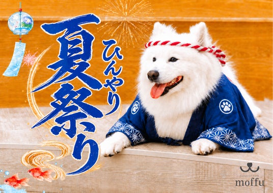 猛暑の避難所は、もふもふの中に。真っ白サモエドと涼む「ひんやり夏祭り」8月から開催 猛暑の避難所は、もふもふの中に。真っ白サモエドと涼む「ひんやり夏祭り」8月から開催