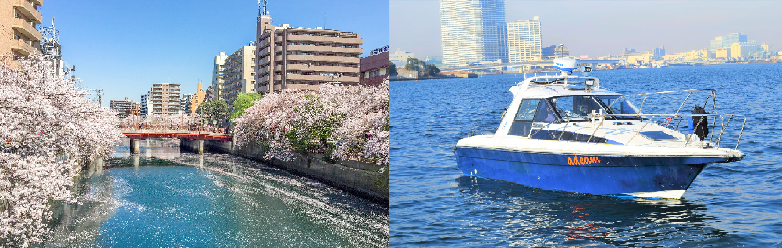 横浜で人気のアディーム号を貸切で運航