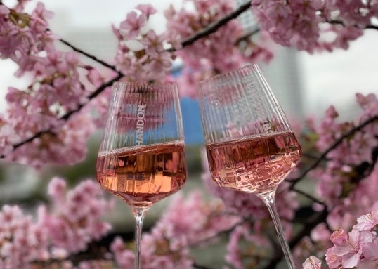 横浜・大岡川CHANDONクルーズはドリンクのみセットとなります