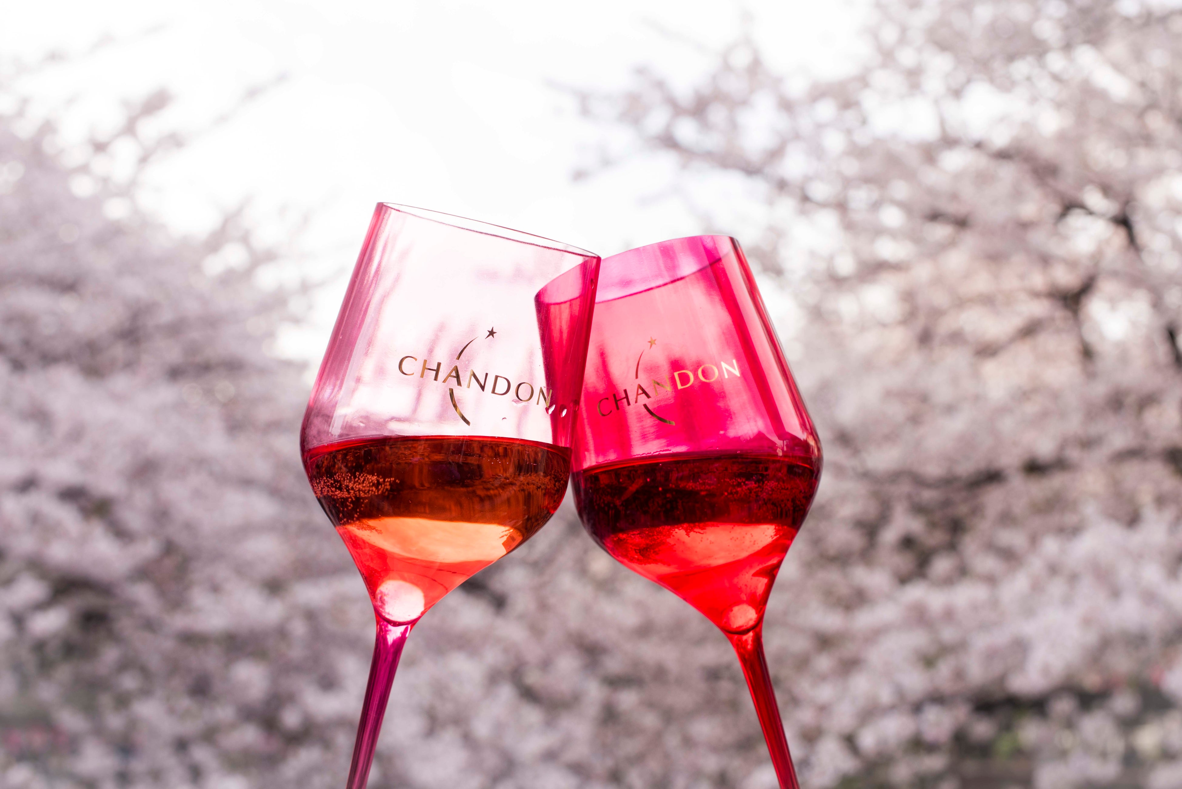 横浜・大岡川CHANDONクルーズはドリンクのみセットとなります