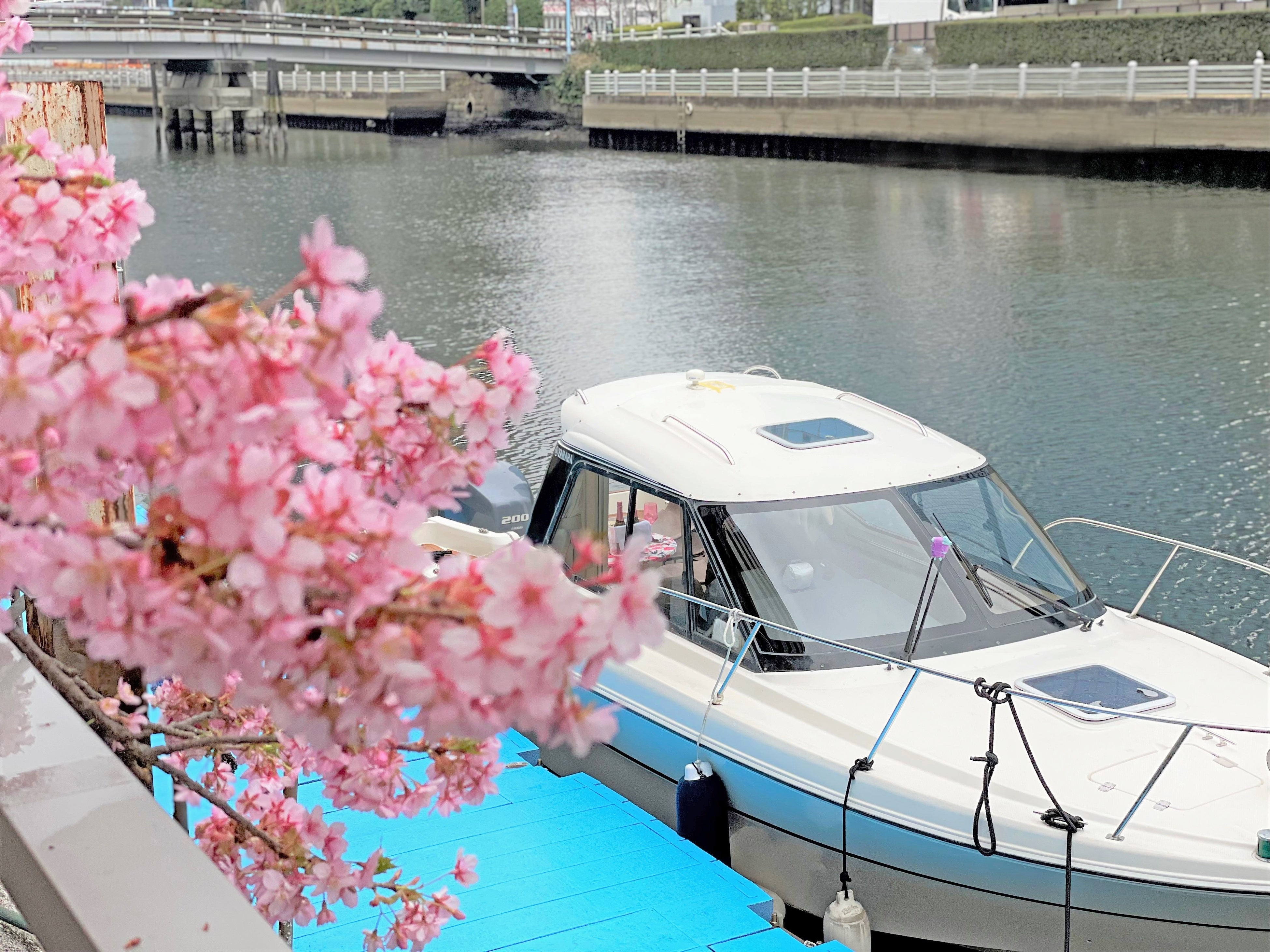 桟橋に停泊するリリー号。白くスタイリッシュな船体です。