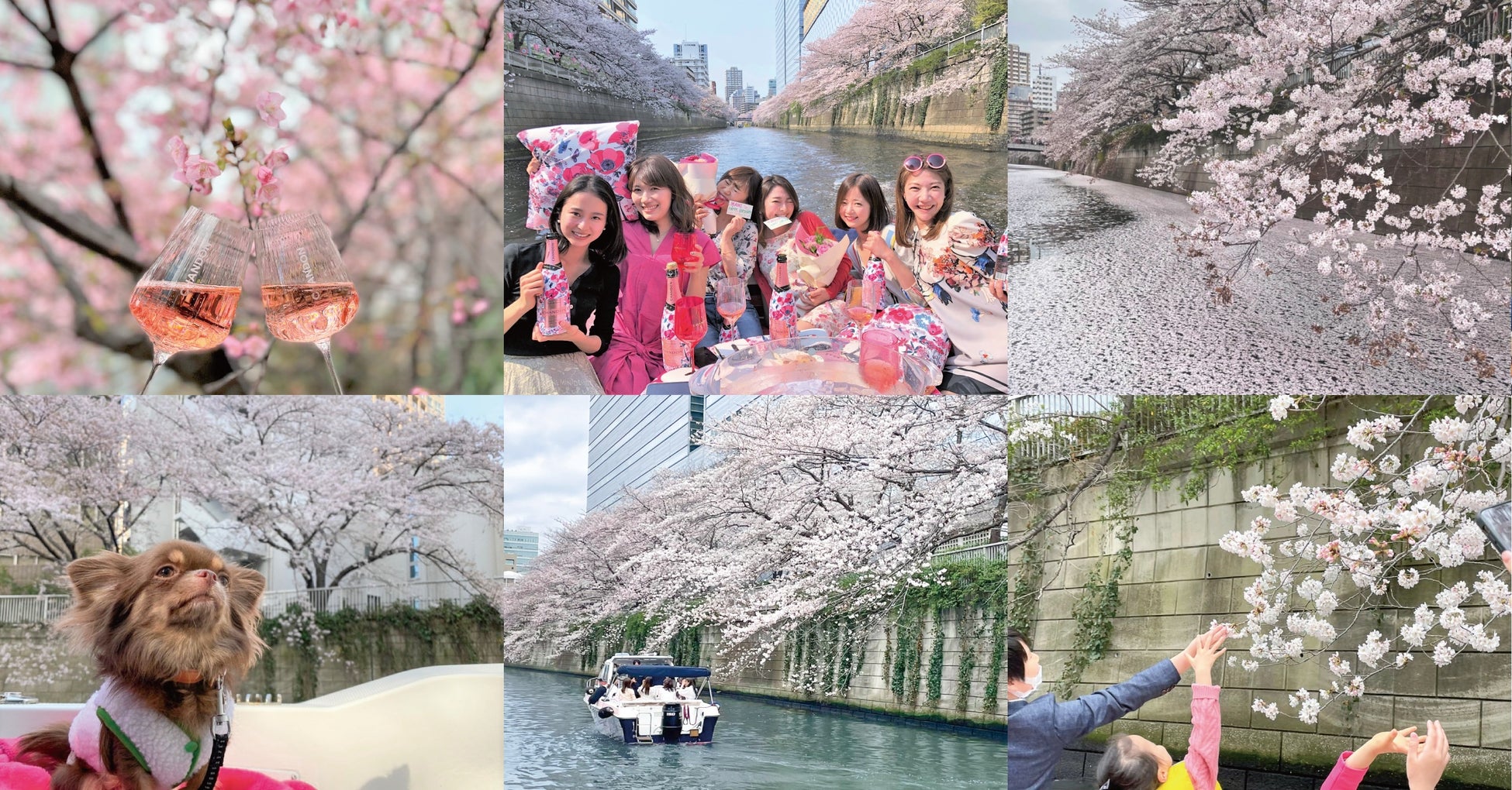 少人数貸切が魅力の本プラン。桜が触れるほど近くに見えます。 ※船内装飾は去年以前のものです