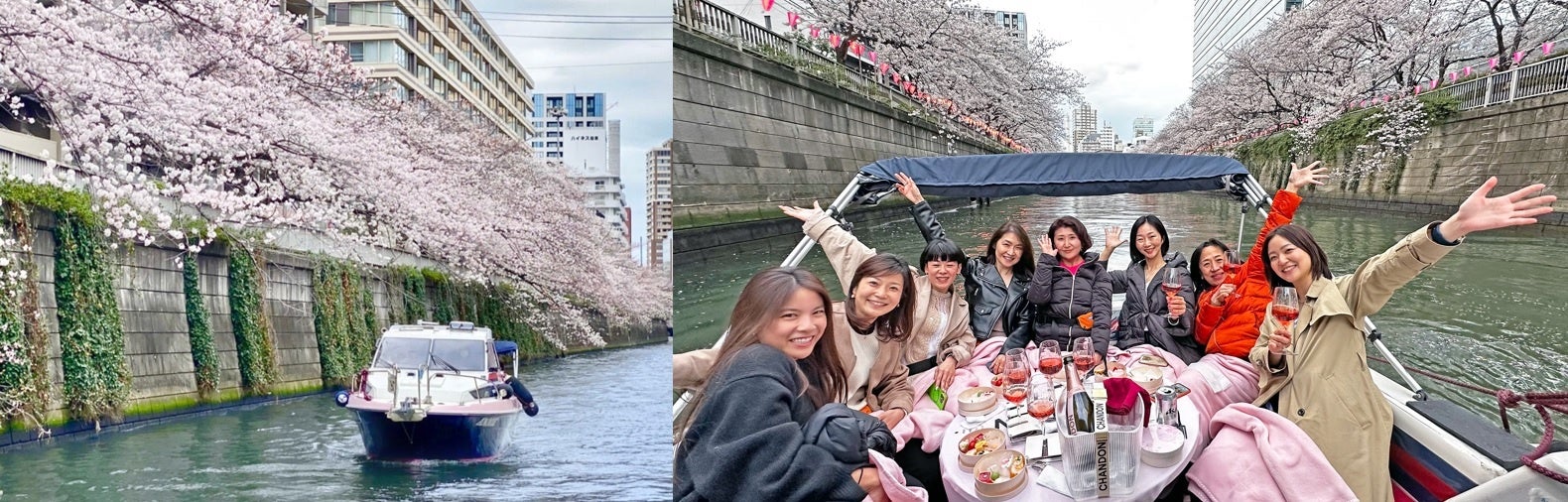 お花見クルーズは女子会やファミリー、カップルなどに人気