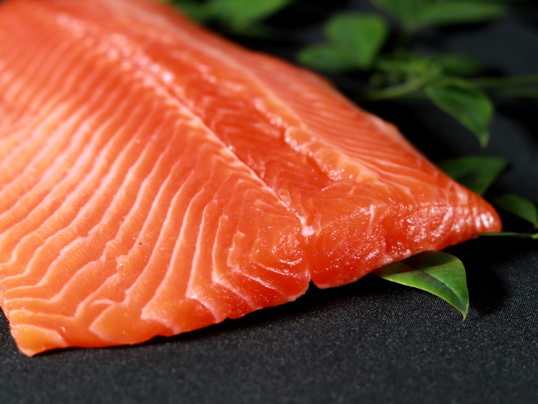 Deep Sea Blueに染まるアイスタに紺碧の至宝 三保サーモン 登場 日建リース工業株式会社のプレスリリース Deep Sea Blueに染まるアイスタに紺碧の至宝 三保サーモン 登場 日建リース工業株式会社のプレスリリース