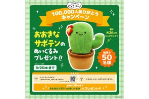 株式会社Qualia、カプセルトイ事業で多角的な商品展開と販促を強化
