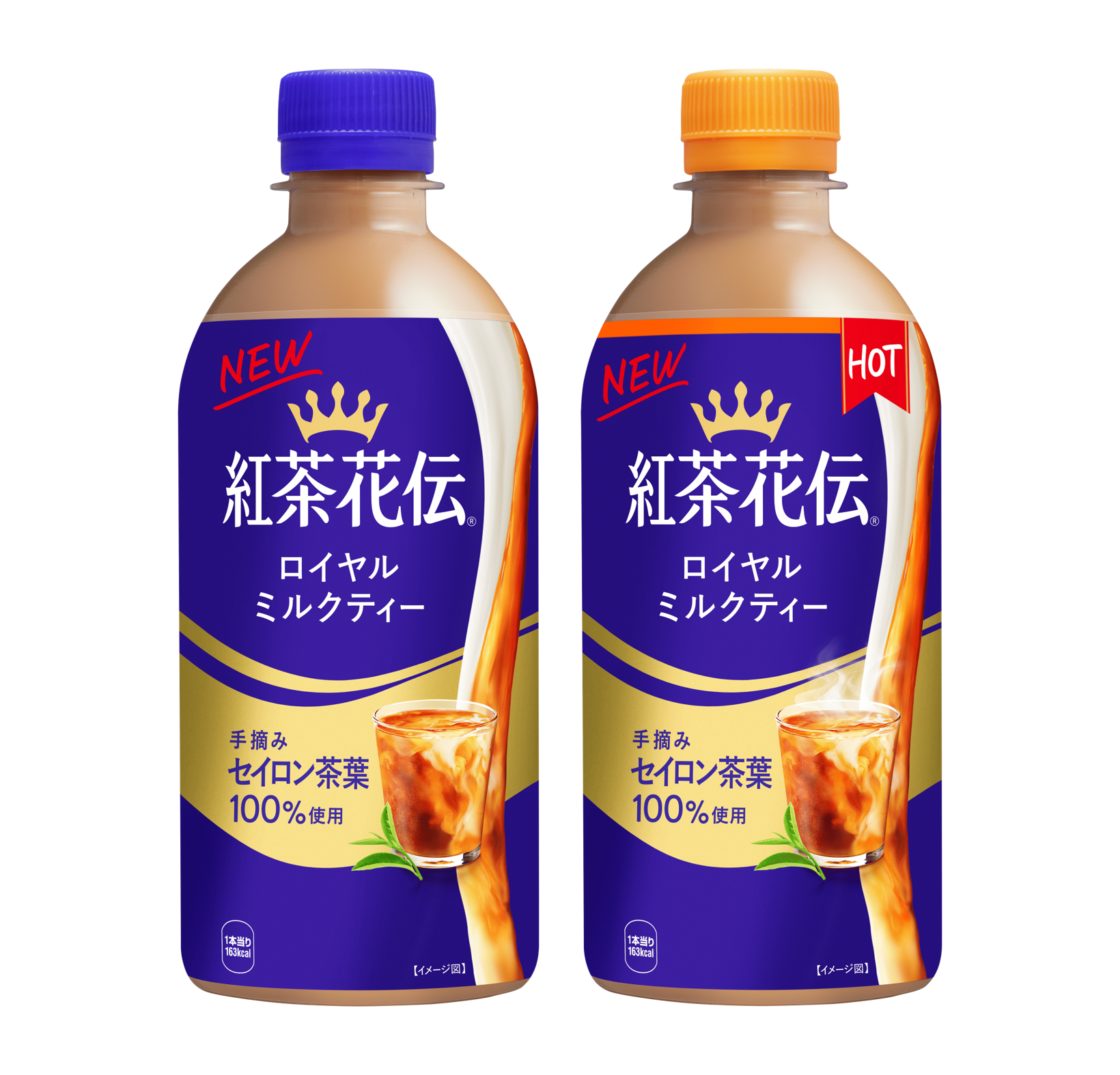 ブランドアンバサダーに八木勇征さん 「紅茶花伝」の妖精役で出演 冬の