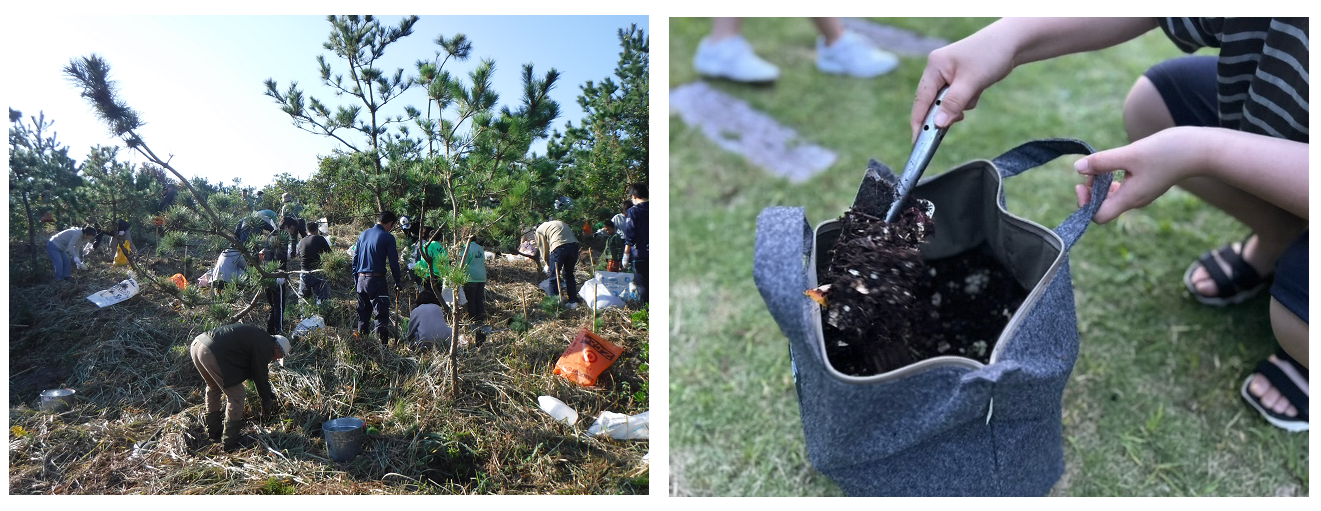 御前崎市 ボランティア植樹の様子（左）、資源循環活用（コンポスト活用例）（右）