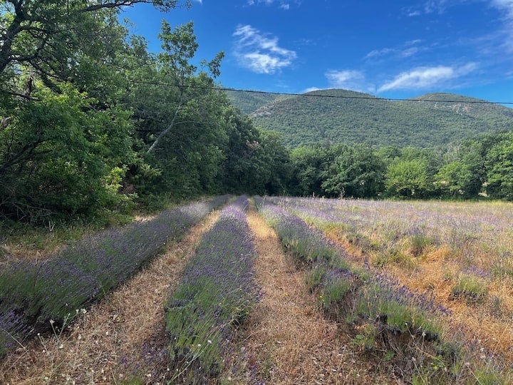【人生を、ビオディナミする】各回1組限定。南仏プロヴァンス、新月と満月にのみ開かれる3泊4日のリトリート『Ritualtude "MOON & Art de Vivre"』26年5月より開始