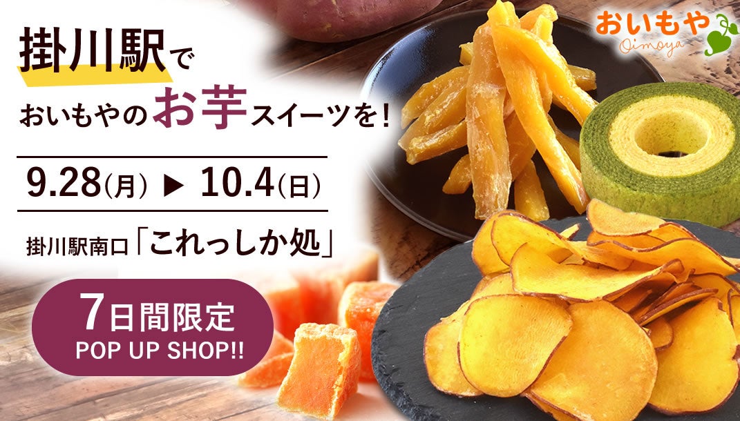 新宿のヴィーガンフレンドリーカフェ「plant more」にて秋限定メニューを10月1日より販売開始!