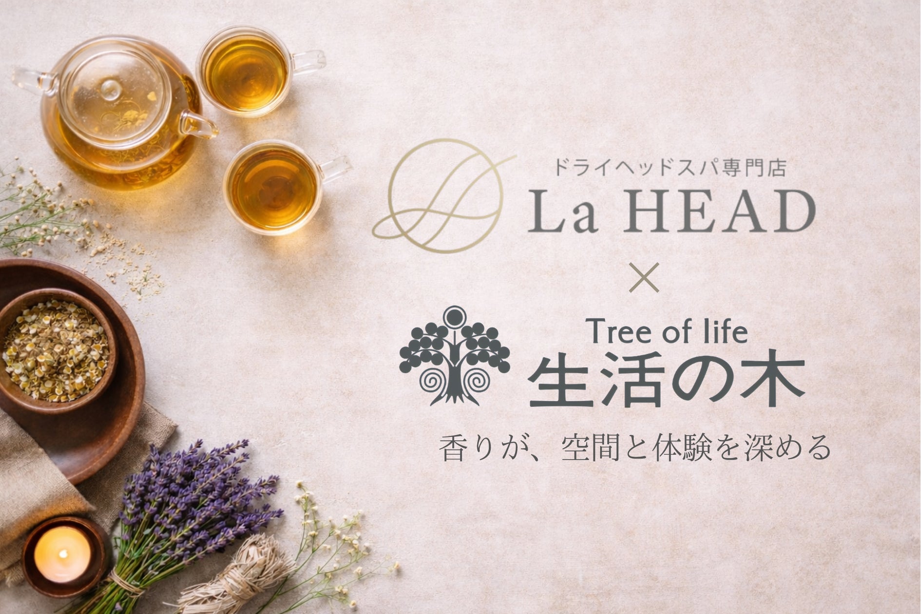 ドライヘッドスパ専門店『La HEAD』、生活の木の製品導入で“香りと余韻 ドライヘッドスパ専門店『La HEAD』、生活の木の製品導入で“香りと余韻