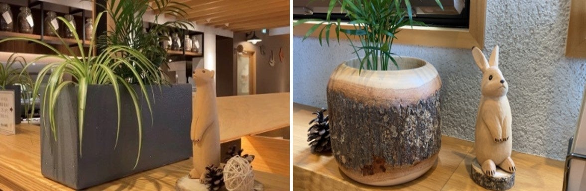 ~店内にはかわいい動物たちがたくさん隠れています〜