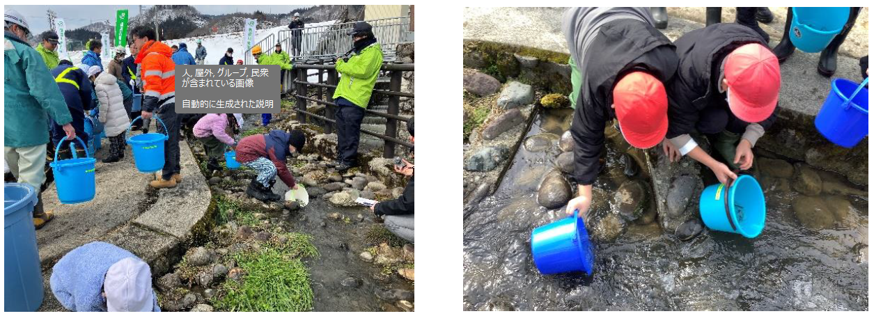 サケ稚魚を放流する様子