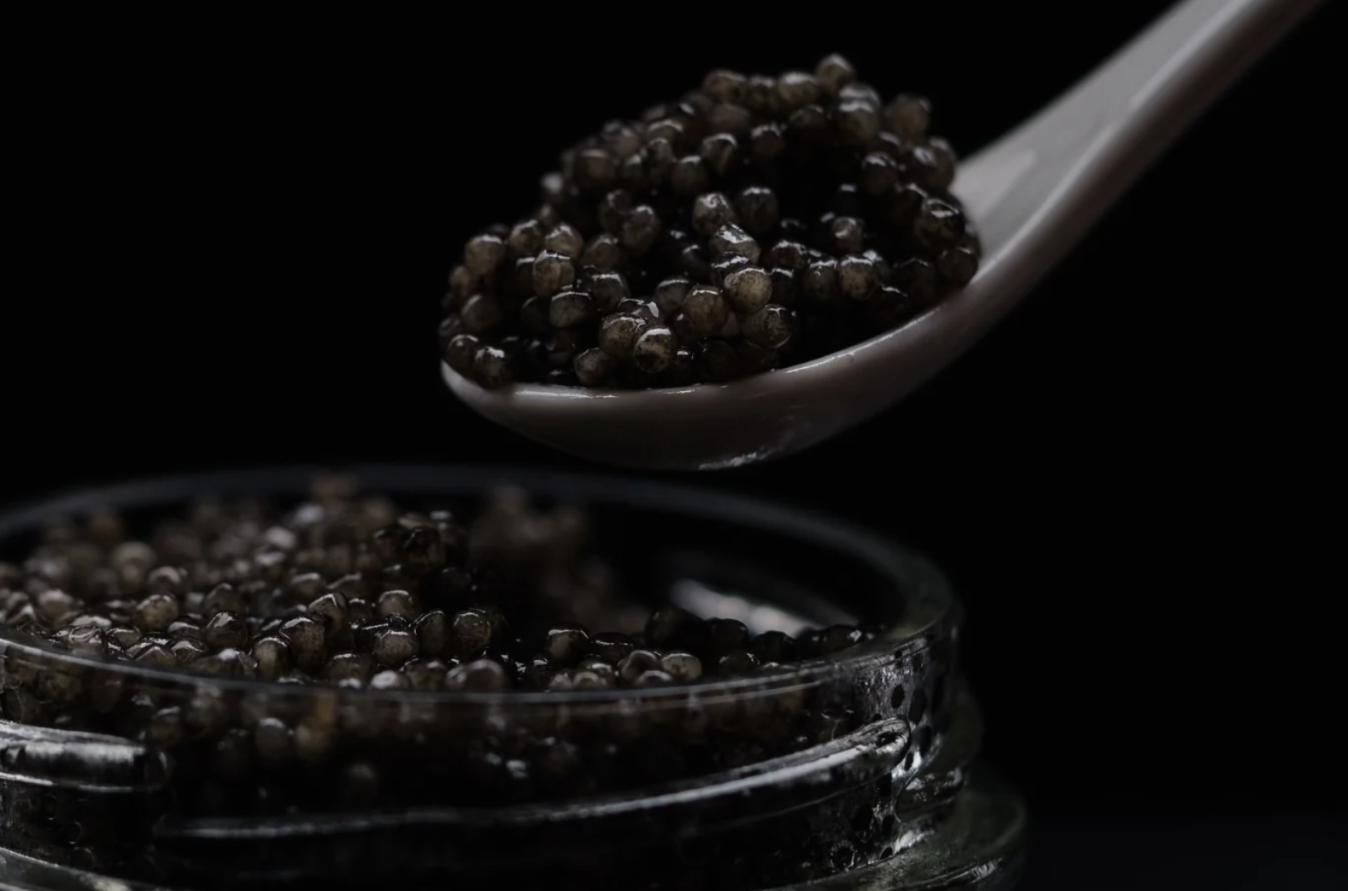 Arctic Roe of Scandinavia