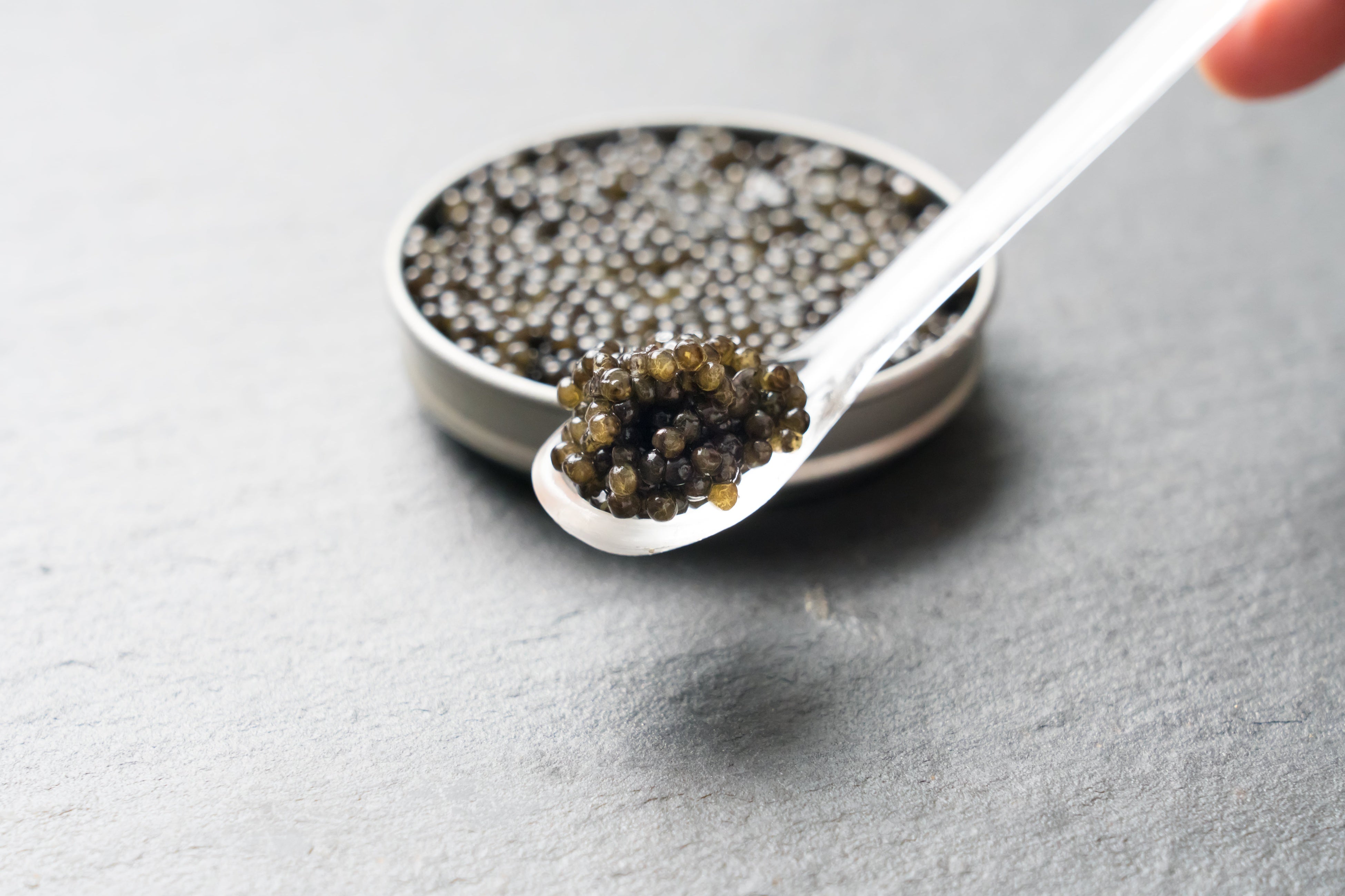 Arctic Roe of Scandinavia