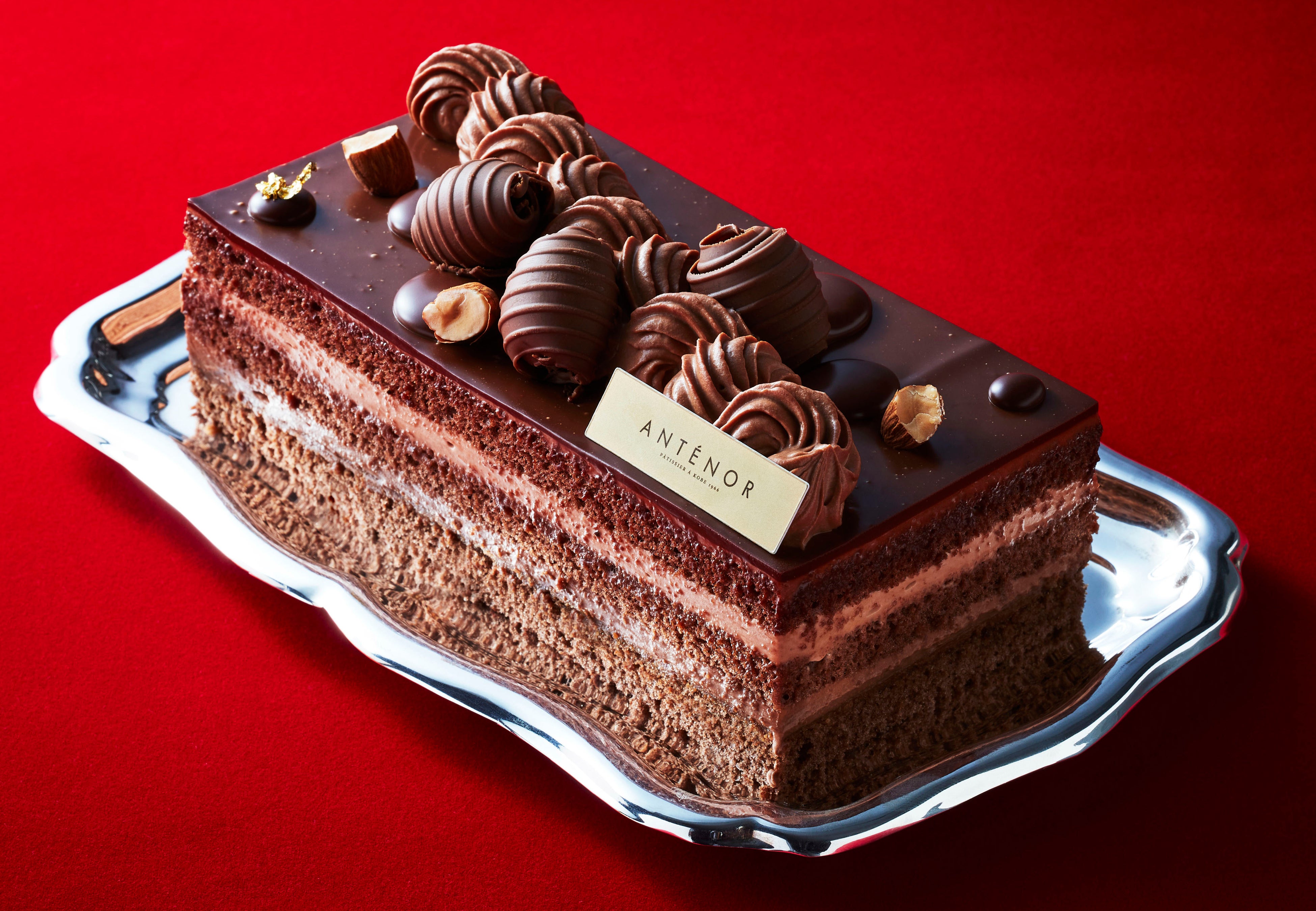 国産カカオ苗【喜界島産】ご自宅でチョコレートの夢を 2株セット