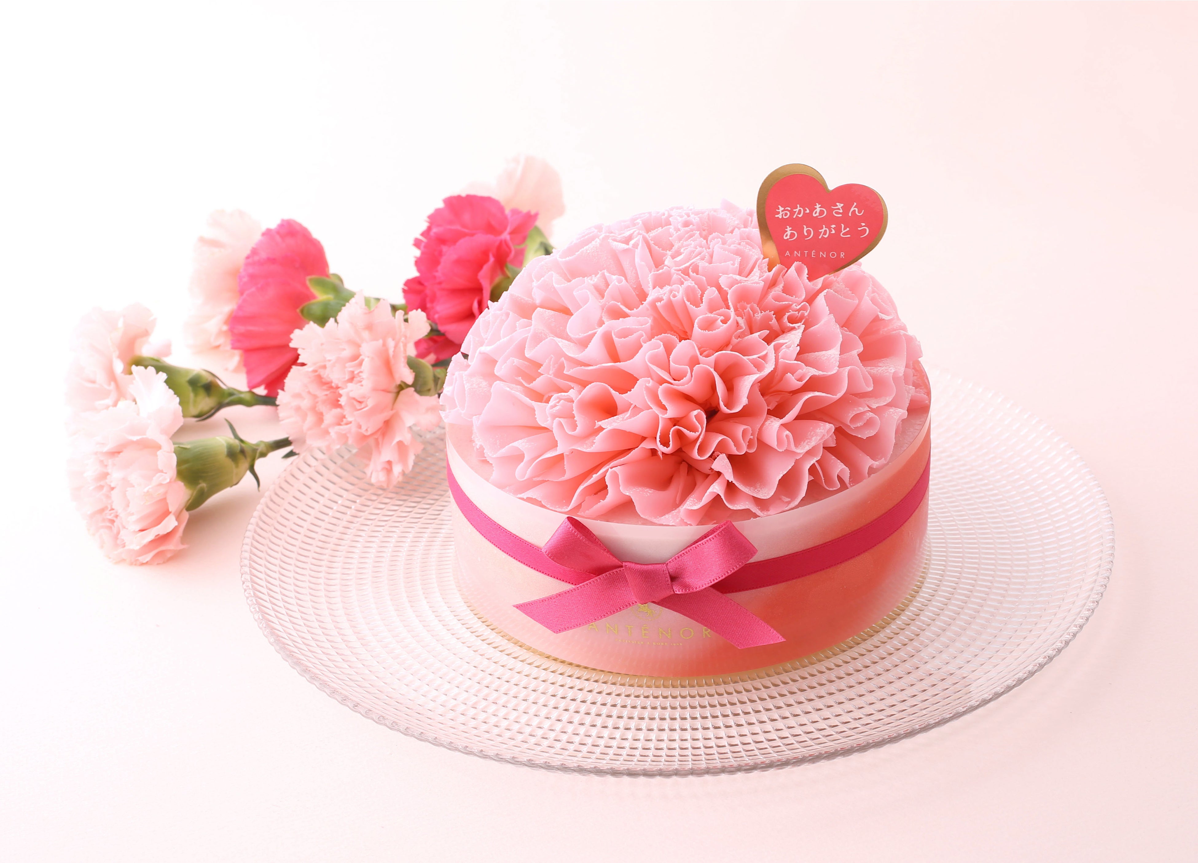 アンテノール】 3日間限定販売！大輪のカーネーションはすべて