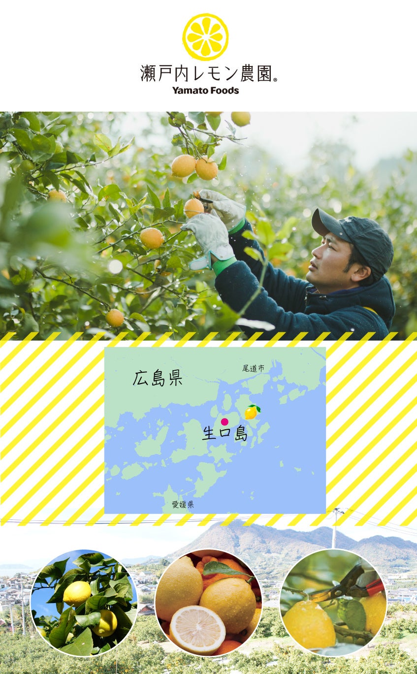 アンテノール 瀬戸内レモン農園 オンラインショップだけのプレミアムな夏限定タルトを発売 株式会社 エーデルワイスのプレスリリース