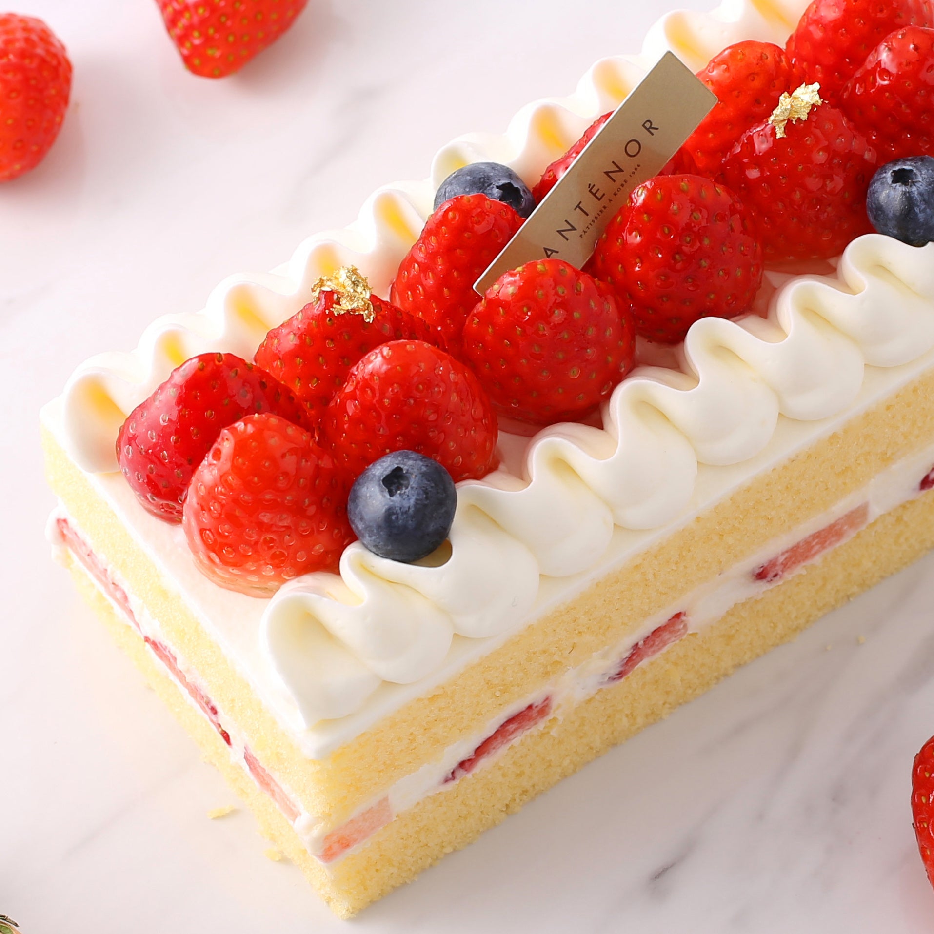 アスティエ　astierdevillatte オーナメント　イチゴ　ケーキ 菓子庵たちかわ 】 いちご生デコレーションケーキ 5号 ケーキ
