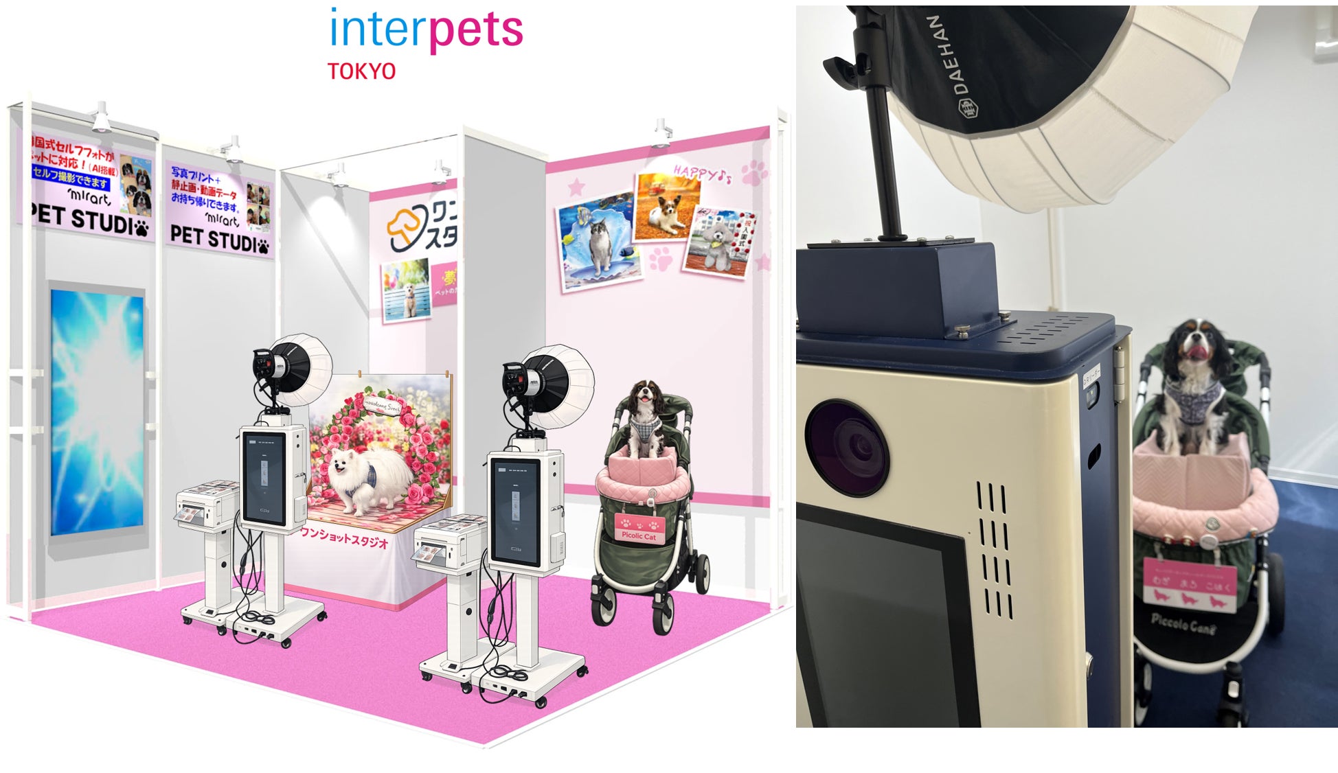セット売り【希少】撮影会1度のみ ペットアポルテ Pet a Portre セット セット売り【希少】撮影会1度のみ ペットアポルテ Pet a Portre セット