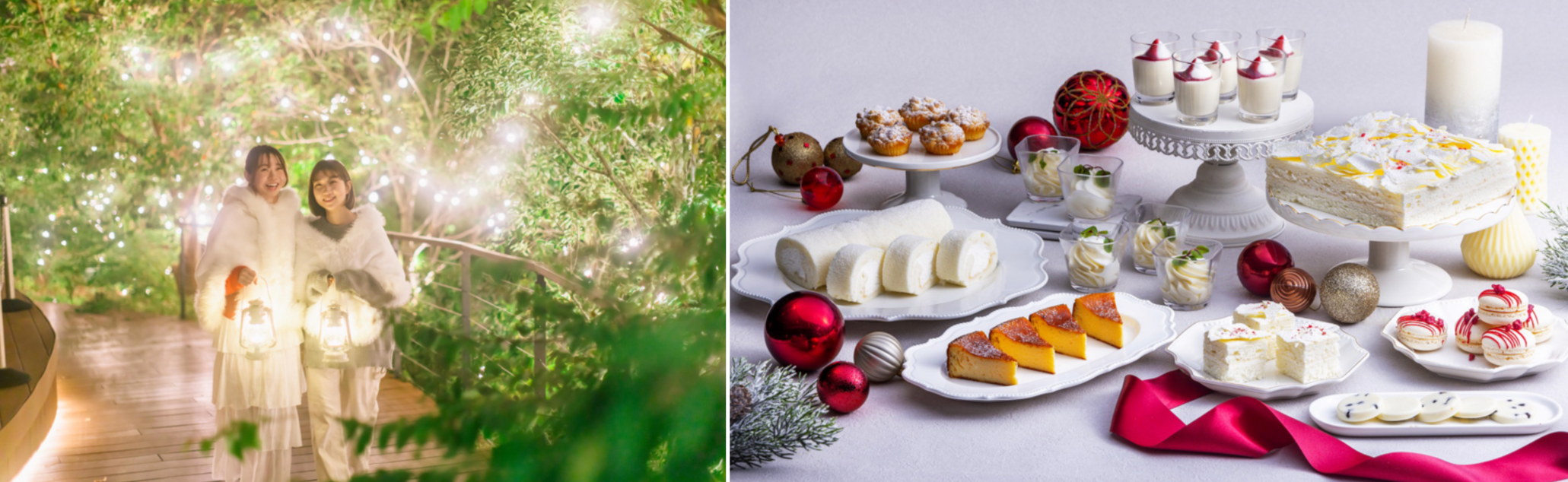 光、白、花火。夜のリゾートが“いちばん美しい”季節へ。幻想的なイルミネーションと白スイーツが彩る冬のナイトリゾート体験。