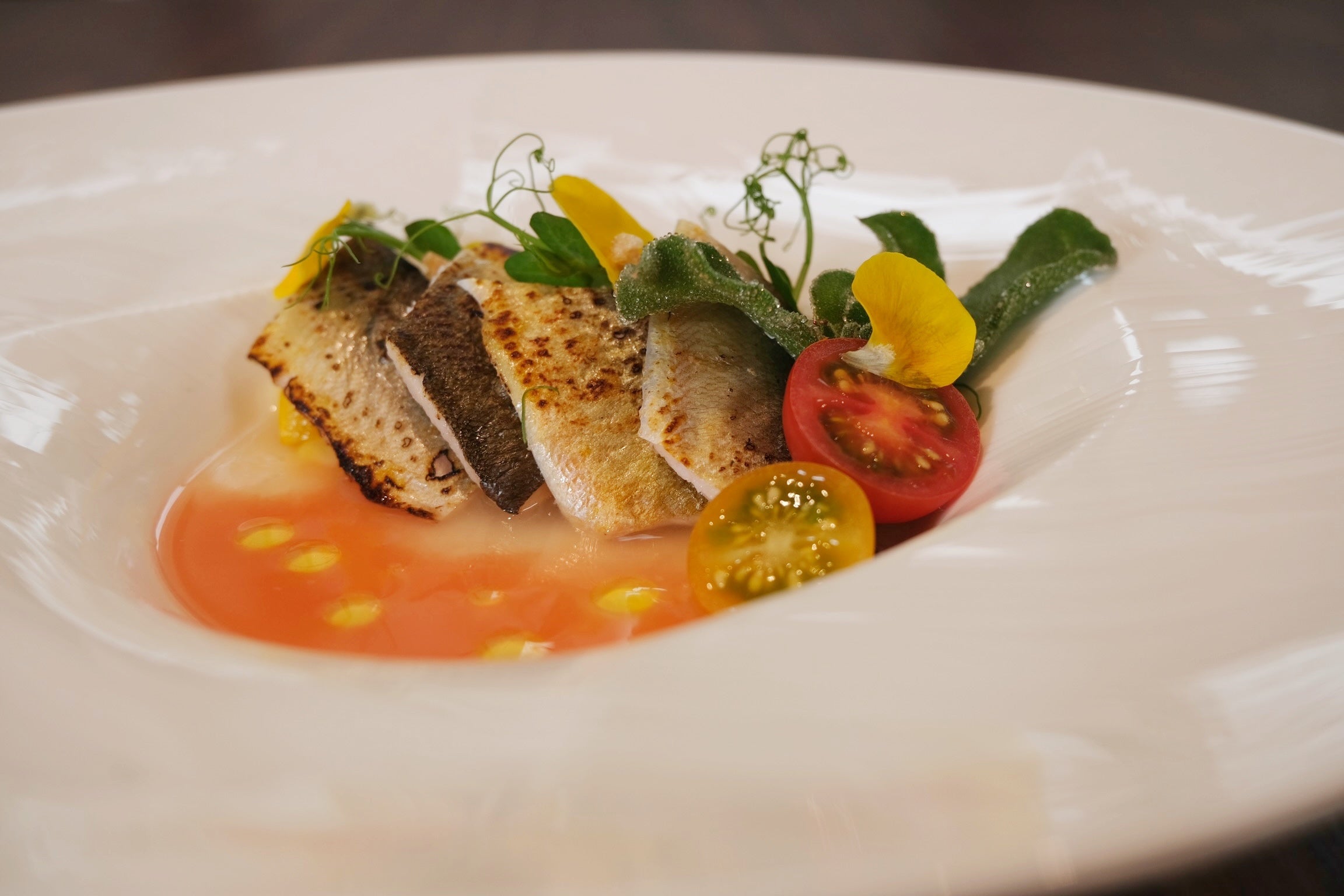 発芽米で乳酸発酵させたラタトゥイユのゼリー寄せと焼き鮎のサラダ仕立て