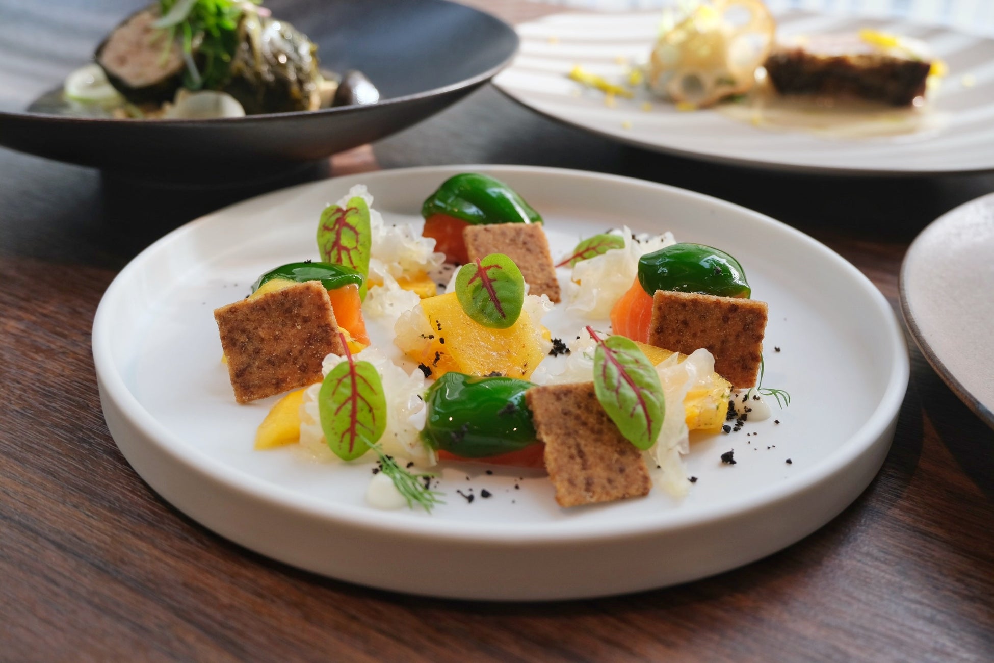 味噌でマリネした信州サーモンとケール青汁のショーフロワ