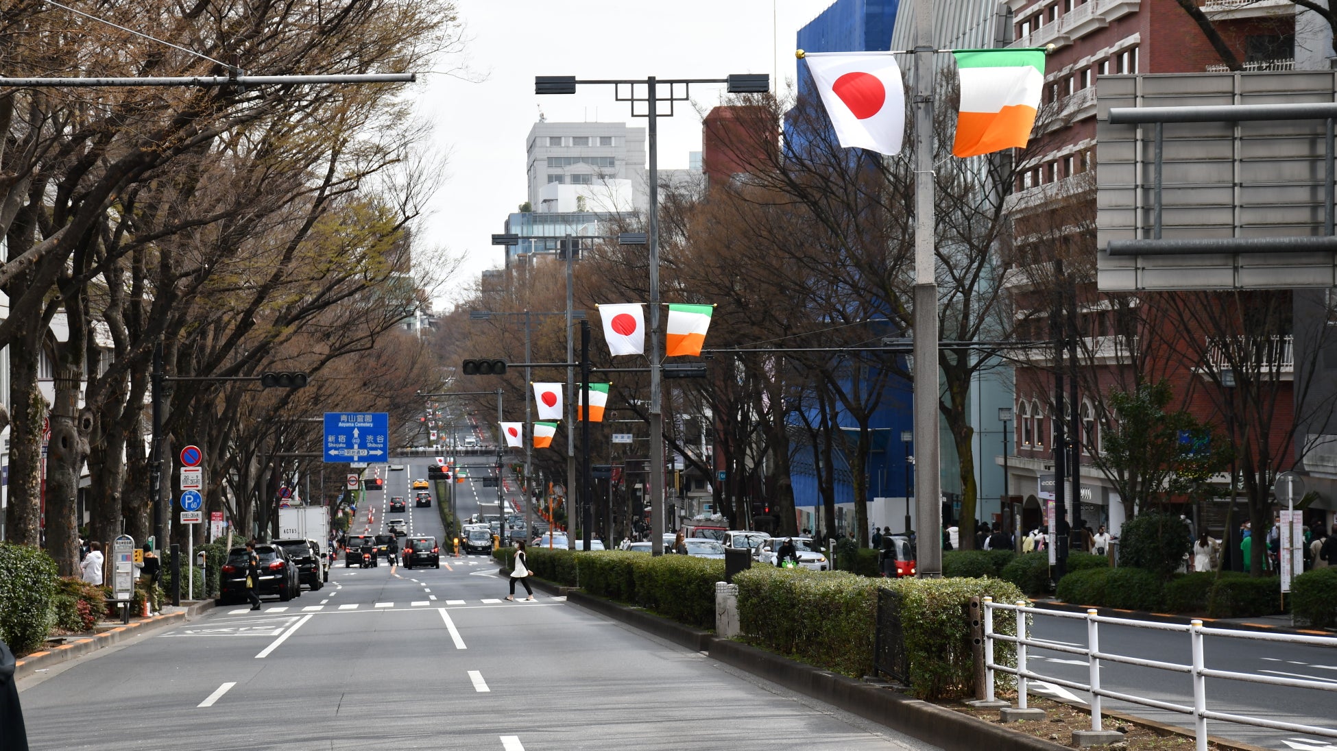 アイルランドと日本の国旗掲揚(表参道)