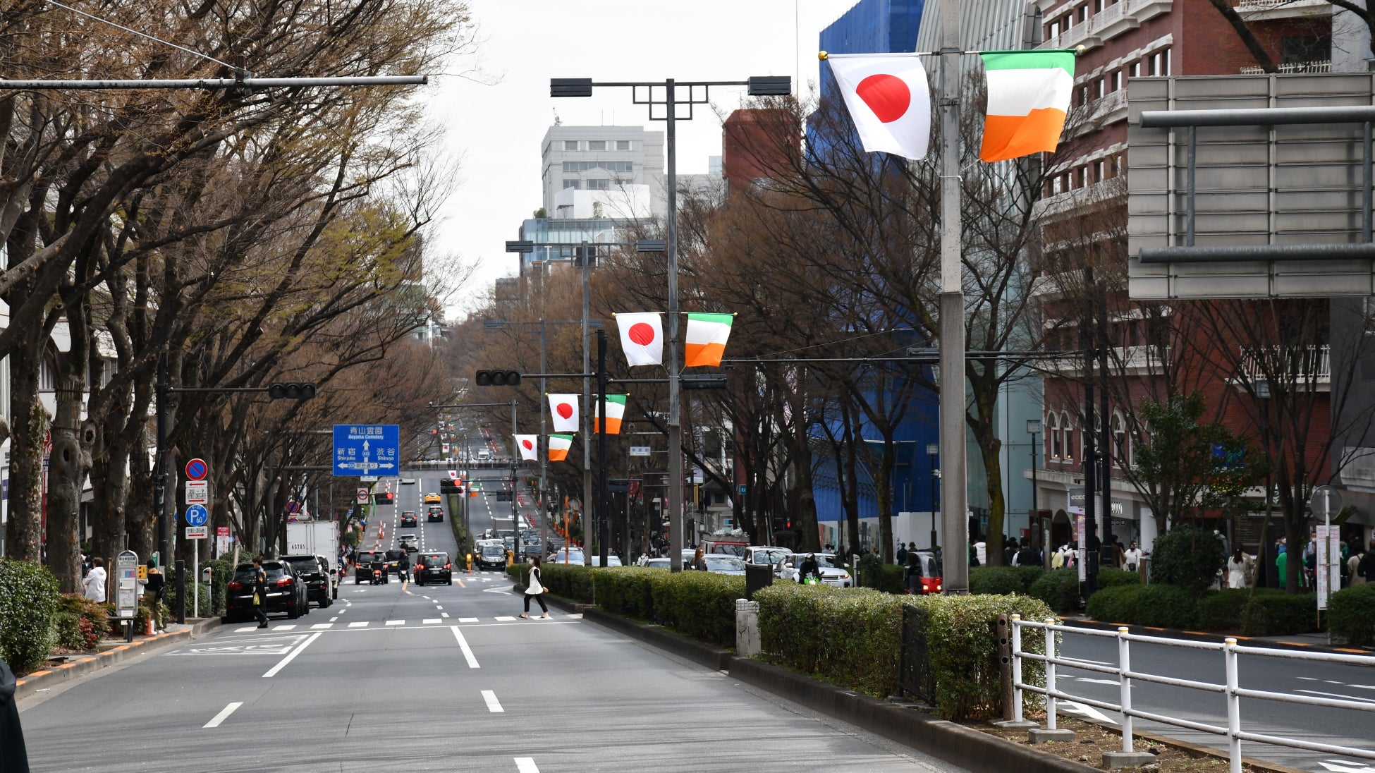 アイルランドと日本の国旗掲揚（表参道）