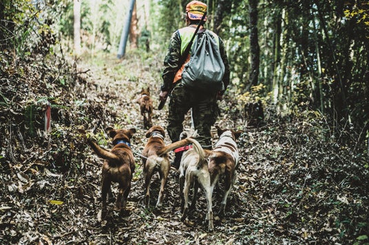 これからの里山の暮らしや生き方を模索する食と暮らしを五感で感じ、未来へつなぐ拠点 これからの里山の暮らしや生き方を模索する食と暮らしを五感で感じ、未来へつなぐ拠点