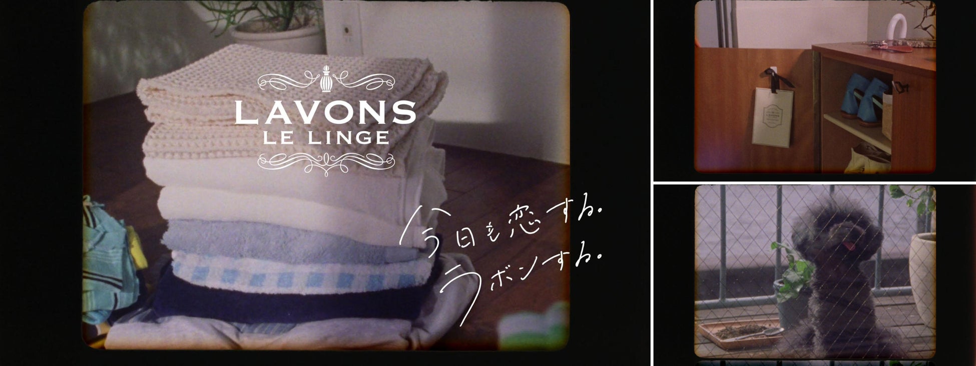 ♡未使用品有り♡非売品♡LAVONS 玉森裕太 販促ボード 3枚セット 玉森さんと同棲&添い寝をしている気分!?「なんで(笑)」と