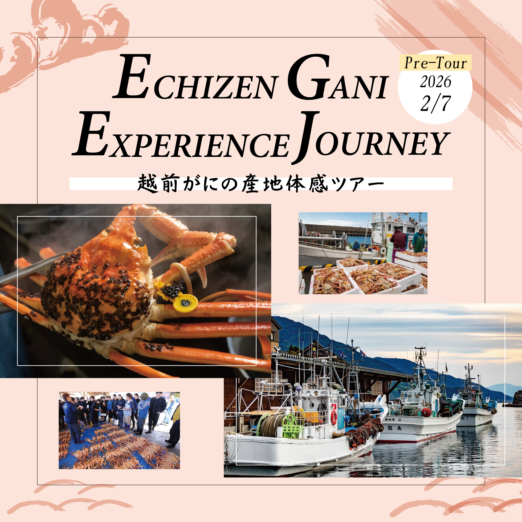 【福井県越前町】（2月7日 催行）越前がにの“産地”を体感する特別ツアーの参加者を募集しています！