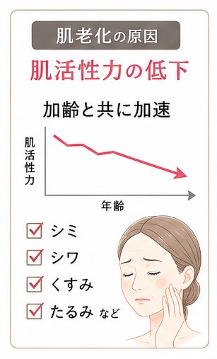 肌老化は肌活性力の低下。肌細胞の環境をまるごと支え、肌活性力を目覚めさせるJJENYC Balance(ジェイジェニーク バランス) 肌老化は肌活性力の低下。肌細胞の環境をまるごと支え、肌活性力を目覚めさせるJJENYC Balance(ジェイジェニーク バランス)