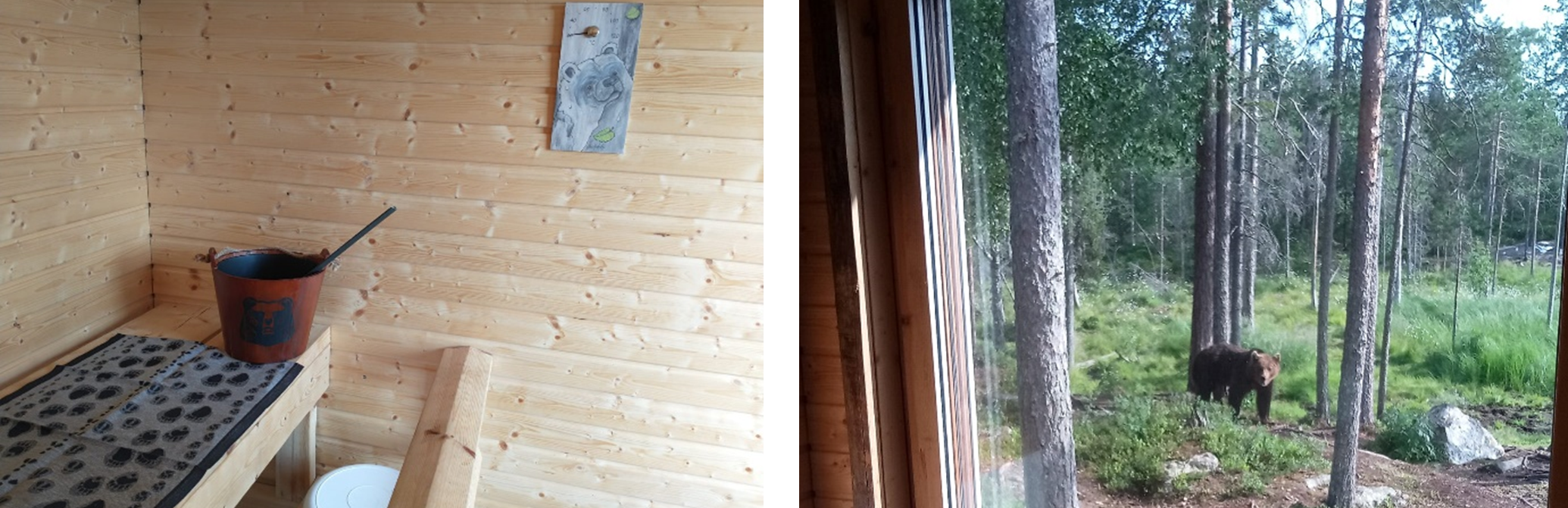 （クレジット：Visit Finland）