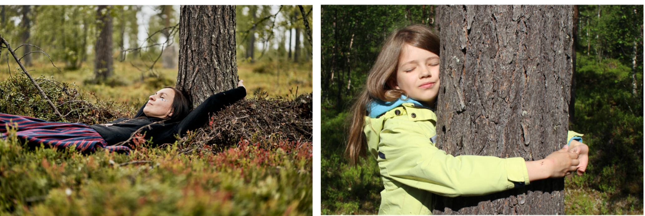 クレジット：Visit Finland