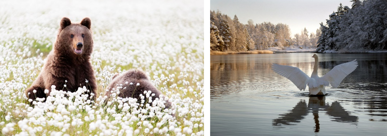 クレジット：（左）Danny Laredo、Visit Finland（右）Antero Aaltonen、Visit Finland