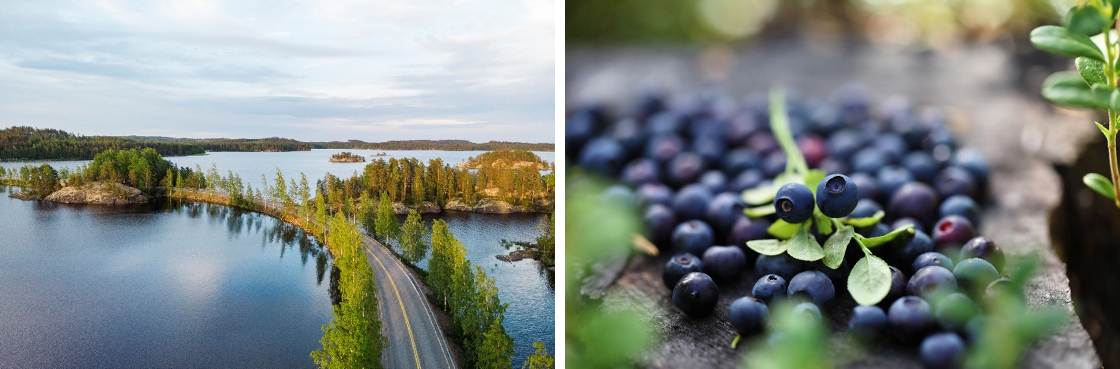 クレジット：Juho Kuva & Visit Finland（左）、 Harri Tarvainen & North Karelia（右）