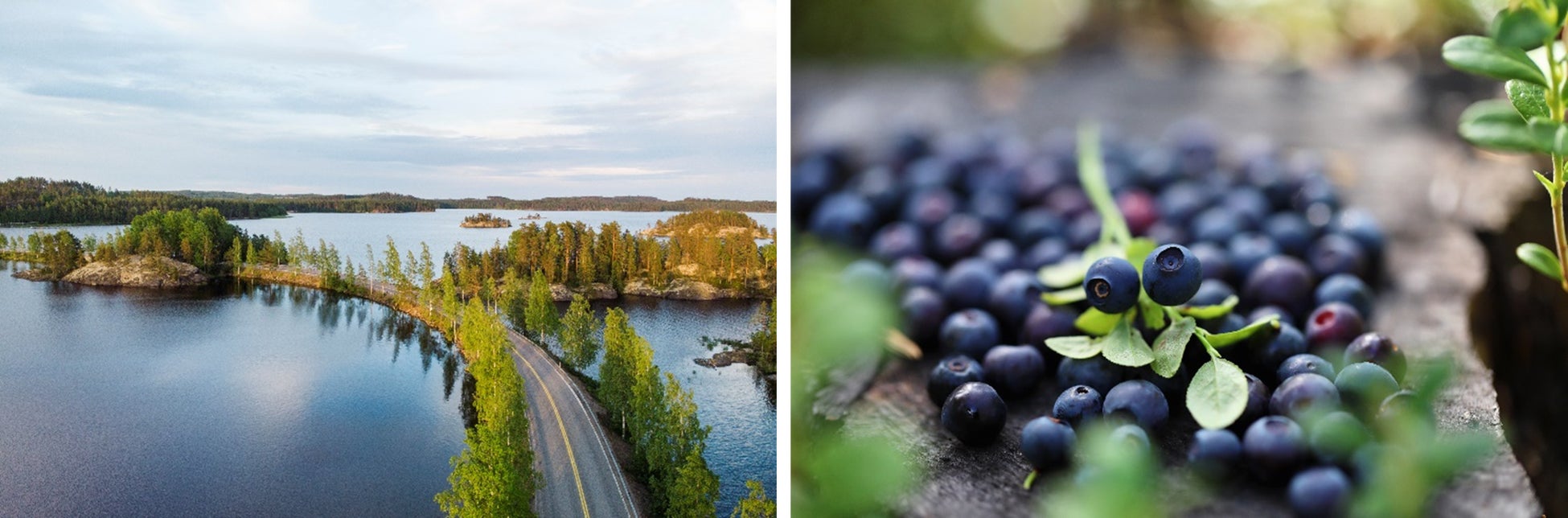 クレジット:Juho Kuva & Visit Finland(左)、 Harri Tarvainen & North Karelia(右)
