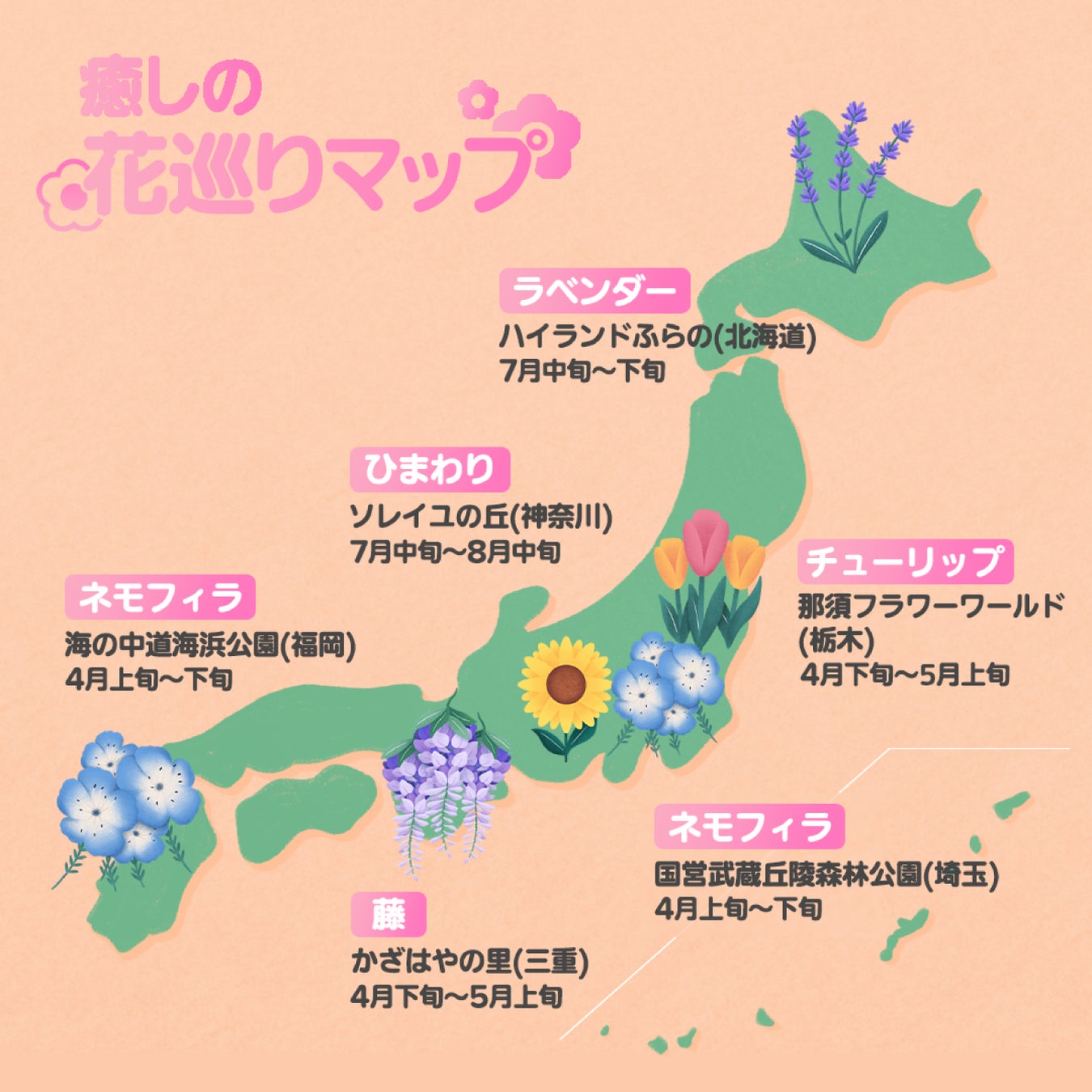 日本の春は桜だけじゃない Hotels Comと旅好きインフルエンサーが Gwの旅行先におすすめする絶景 花畑とホテル5選を紹介 Hotels Comのプレスリリース 日本の春は桜だけじゃない Hotels Comと旅好きインフルエンサーが Gwの旅行先におすすめする絶景 花畑とホテル5選を紹介 Hotels Comのプレスリリース